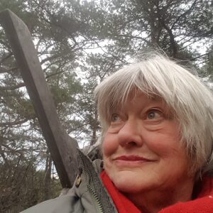 Profilbild på Agneta Bringby