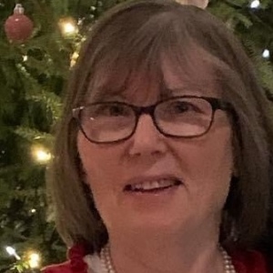 Profilbild på Agneta Jedefors