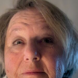 Profilbild på Agneta Wemmenhög Hammar
