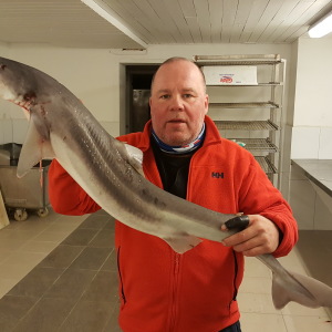Profilbild på Anders Edgren