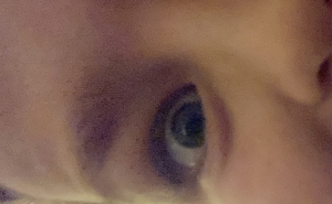 Profilbild på Anders Högberg