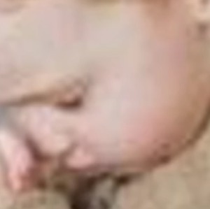 Profilbild på Anders Pettersson