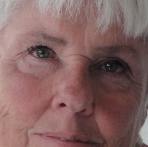 Profilbild på Anita Hammarstedt