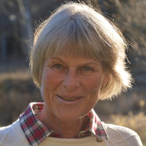 Profilbild på Anita Waerner
