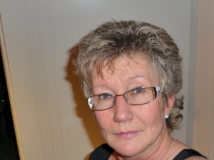 Profilbild på Anitta Johansson