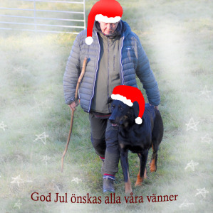 Profilbild på Ankie Annchristine Hermansson