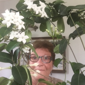 Profilbild på Ann-Britt Rönnberg