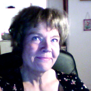 Profilbild på Ann-Catrine Nordin