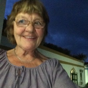 Profilbild på Ann-Kristin Pivén