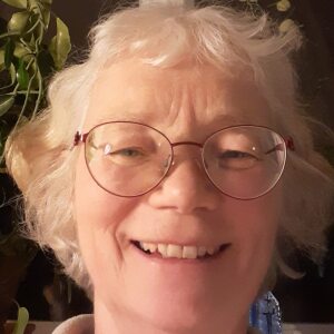 Profilbild på Ann-Sofi Karlsson