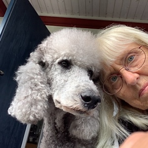 Profilbild på Ann Hagström