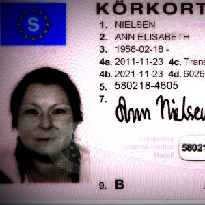 Profilbild på Ann Nielsen