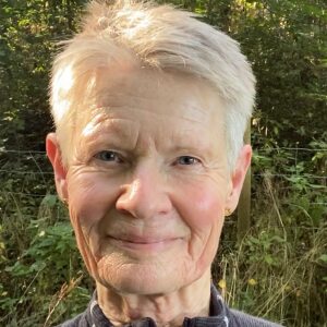 Profilbild på Ann Persson