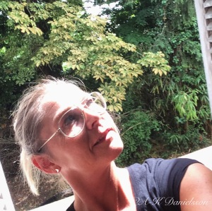 Profilbild på Anna-Karin Danielsson