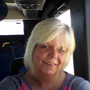 Profilbild på Anna-Lena Österberg