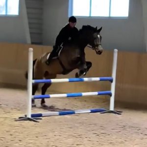 Profilbild på Anna Ahlenius