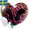 Profilbild på Anna Lindberg