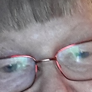 Profilbild på Anne-Louise Wikingbro
