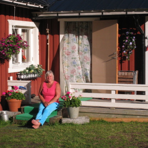 Profilbild på Anneli Sedig
