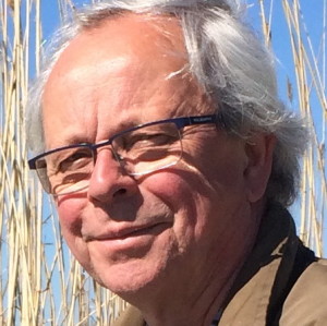 Profilbild på Ante Grubbström