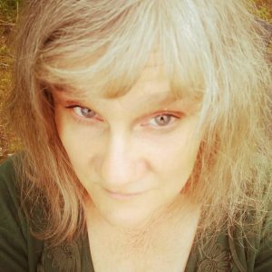 Profilbild på Åsa Höckenström