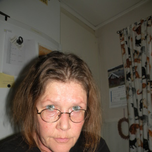 Profilbild på Åsa Ringberg