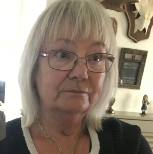 Profilbild på Åsa Westholm