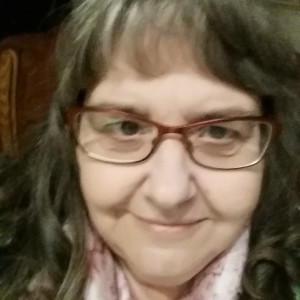 Profilbild på Barbro Davidsson