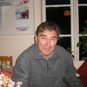 Profilbild på Bengt Larsson
