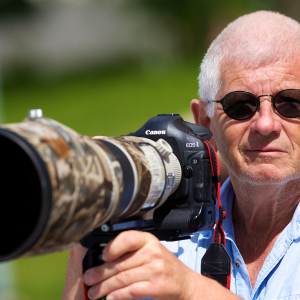 Profilbild på Bernt Bayard