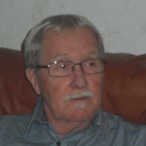 Profilbild på Bert Lindberg