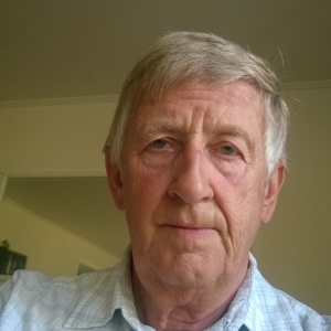 Profilbild på Bertil Litzell
