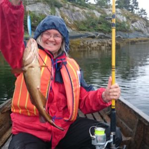 Profilbild på Birgitta Andreassen