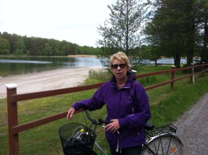 Profilbild på Birgitta Bergsten