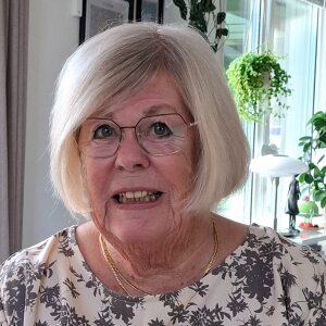 Profilbild på Birgitta Calzon