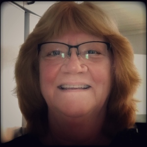 Profilbild på Birgitta Carlson