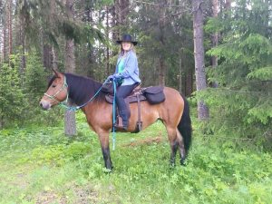 Profilbild på Birgitta Carnland
