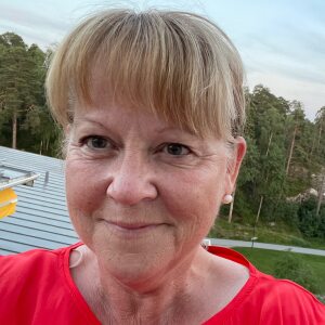 Profilbild på Birgitta Dahlgren