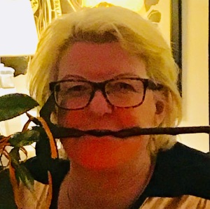 Profilbild på Birgitta Helllström