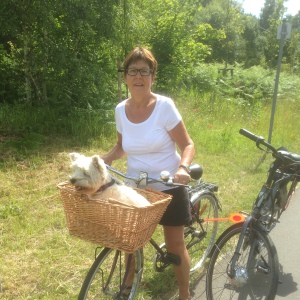 Profilbild på Birgitta Kronudd