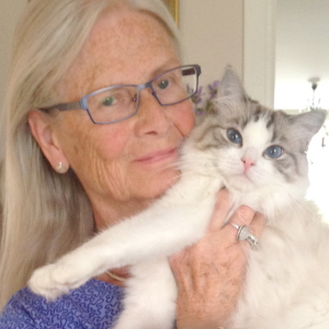 Profilbild på Birgitta Lindström