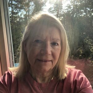 Profilbild på Birgitta Orrheim Friedman