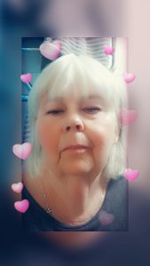 Profilbild på Bitte Mogren