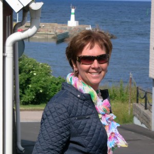 Profilbild på Boel Bertholdson