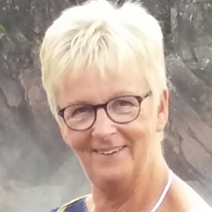 Profilbild på Britt-Inger Karlsson