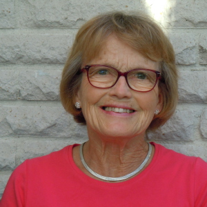 Profilbild på Britt-Marie Lindberg