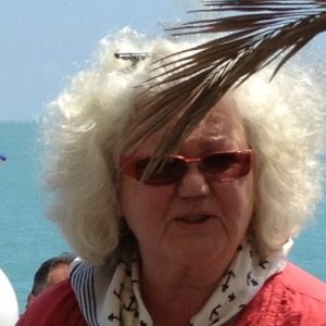 Profilbild på Carin Wall