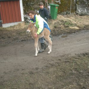 Profilbild på Catrine Liljequist