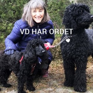 Profilbild på Cecilia Gidlund