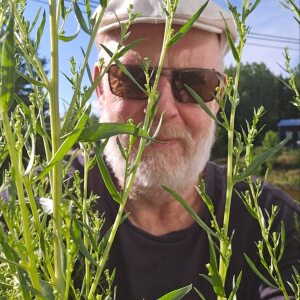 Profilbild på Christer Eriksson